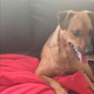 Meet your Posher, Lindsey